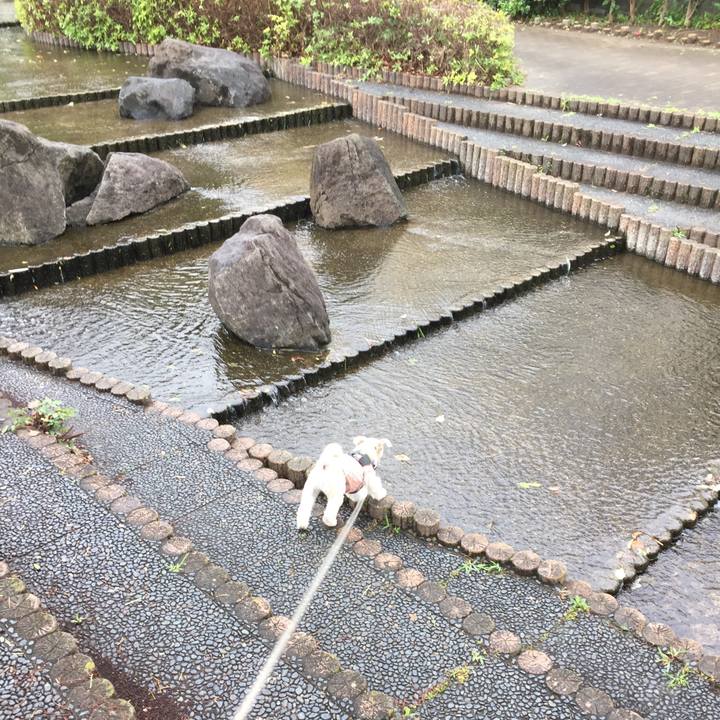 9998a4c3 75dc 44f7 86b1 805dd198933c 1562499408422