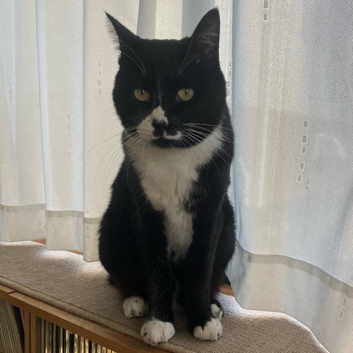 9998a65a 975e 4f67 8e2c b1cb2ec89394 1701511131943