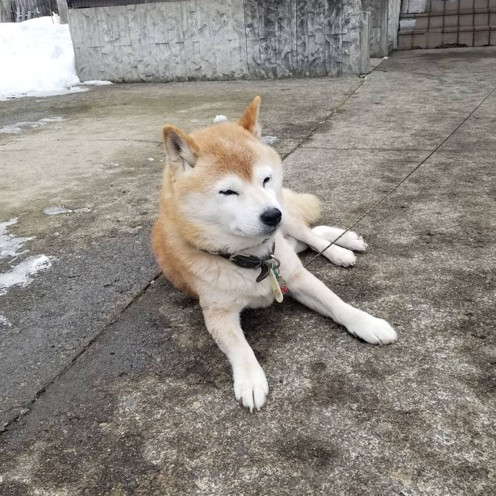 9998a798 587d 406c 9895 6074889acae2 1706320042823