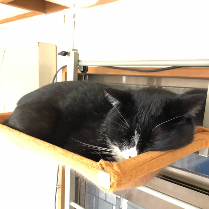 9998a7e0 7edc 4e3b 87e0 9654ff8a4adb 1580183263511