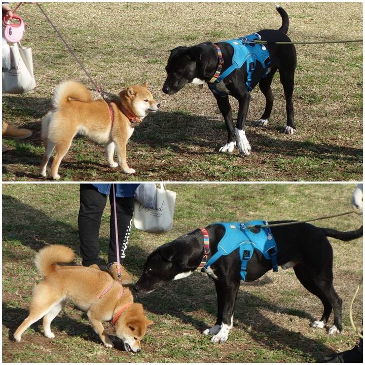 9998ce2e c4b0 4d69 8893 93f45d3c0f9f 1615940351711