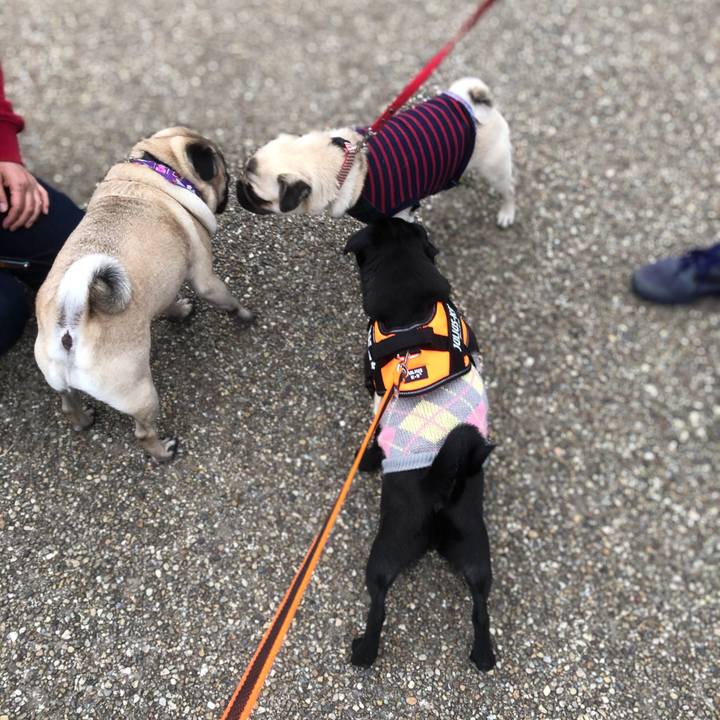 9998cfff 5b0f 41ce ab5f 811595721d72 1603506753937