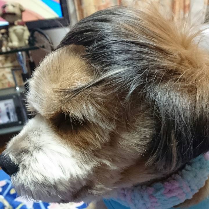 9998f43e 1eb1 4fdc ae08 754b5e73fbfc 1519299473055