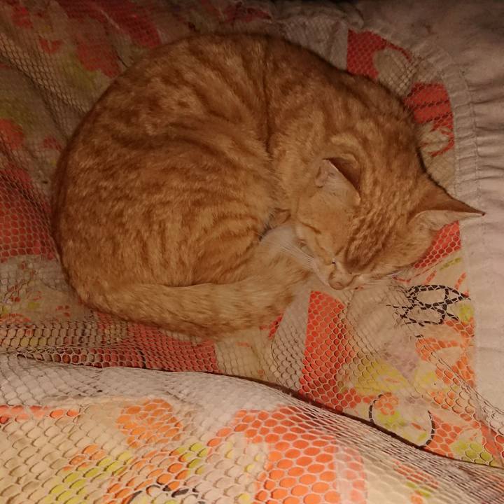 9998f5b7 bb09 484a 8971 037a3e735d45 1555687591498