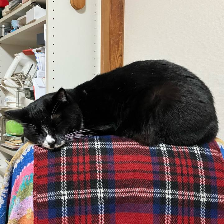 9998fda8 5876 4cee 9957 0d6ad74f9a61 1742442906071