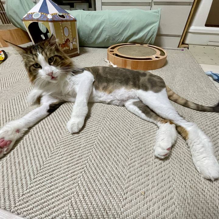 99990349 50ab 4e29 9661 becc3746b559 1688120972140