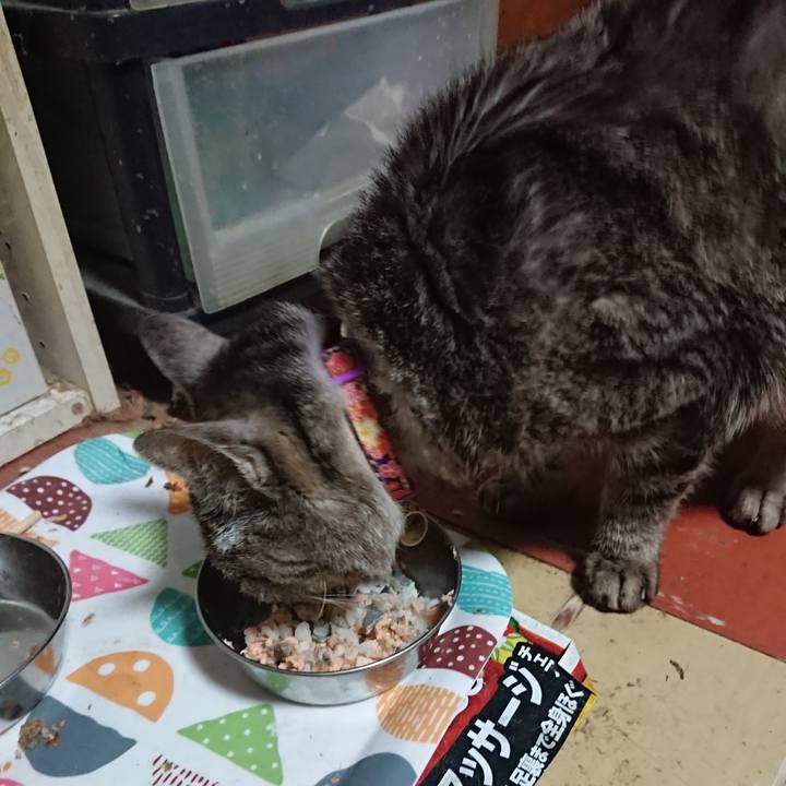 9999454e 6d3d 45f4 b6ce ff5051e58ad5 1588158415752