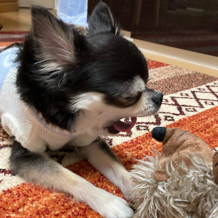 99999422 ab67 4713 bc11 4fa5495b7021 1672761373445