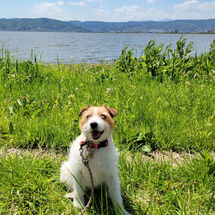 99999f77 b429 478e 8b9f 9898d1f01250 1682913821644