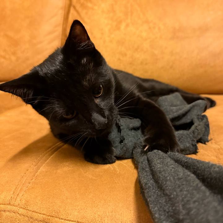 9999d87f fb9d 40dc 8930 c5472eb66428 1760862789572