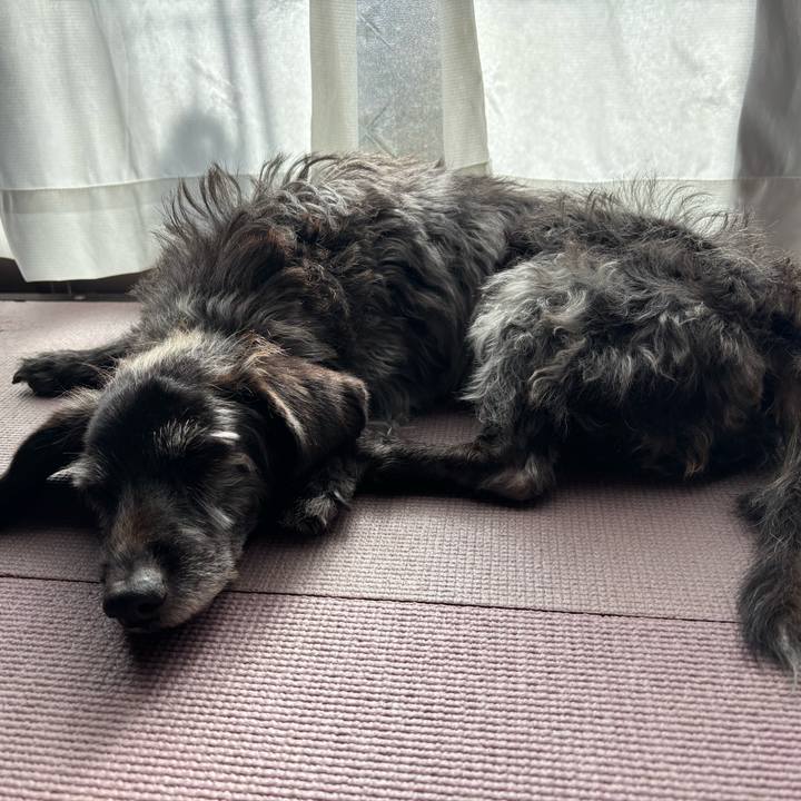 9999ea93 090e 4df1 980e f9d2f059181b 1764809659056