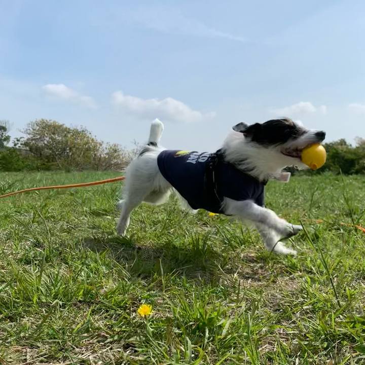 999a135d eccd 4be6 b6a7 52d4e9261e7a 1649810895867