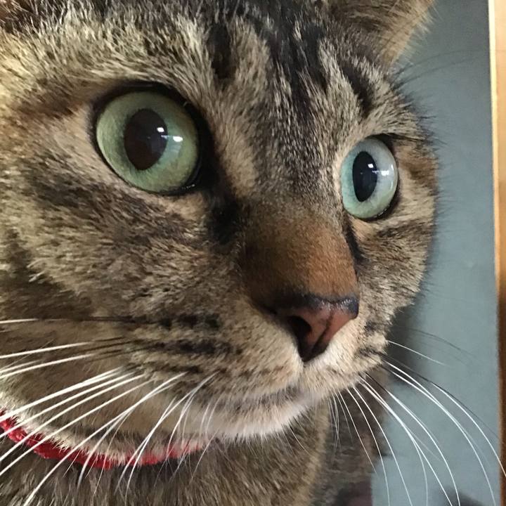 999a19a5 9178 4422 bc2a 2e439a2c6218 1678787613977