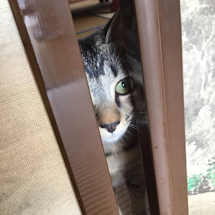 999a38c9 512d 4af5 8dcf aa82311b5907 1573781527026