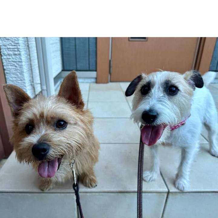 999a8af7 03cd 44f6 8c96 96835306ce28 1752766539156