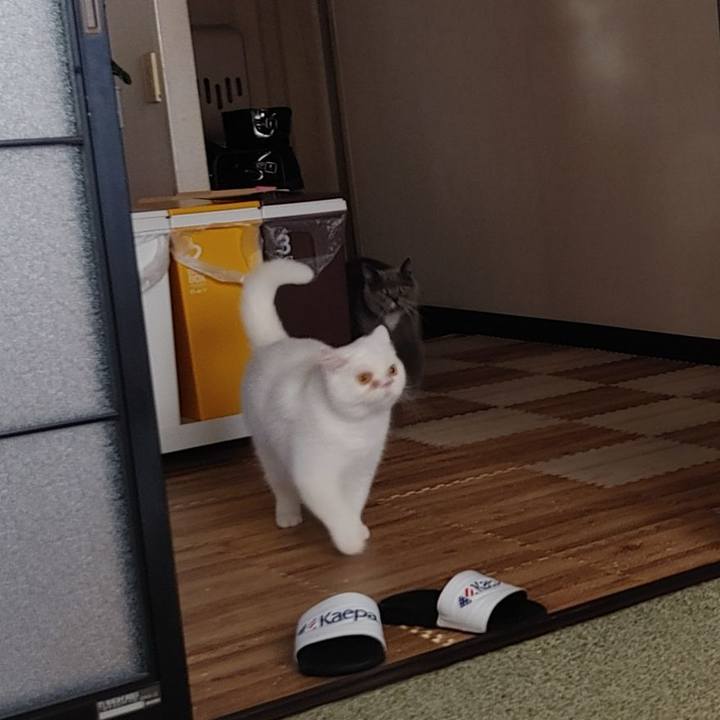 999ac312 6bd4 4144 a246 06d49ccf595d 1667425649391