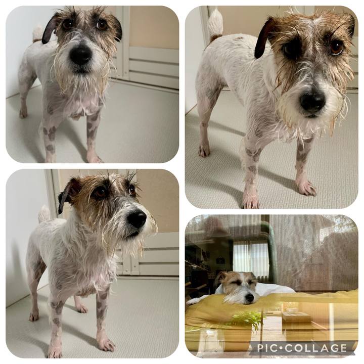 999ad965 9f07 4b34 a29d 3cac82ac979a 1661086702901