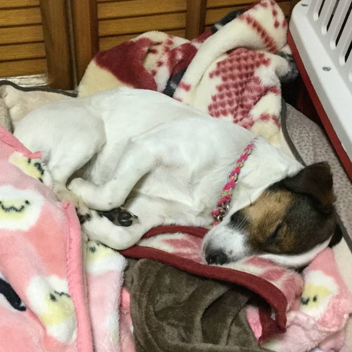 999b07af fc0e 43fd ad81 fa1899c510ef 1515928420165