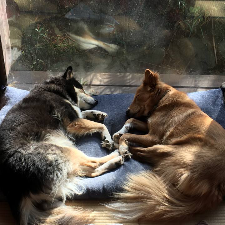 999b3823 f3a9 4399 bdac 01ac824383c0 1511780939684