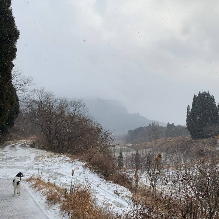 999b4154 3633 4262 9cc0 c8d6000dba0d 1610186828946