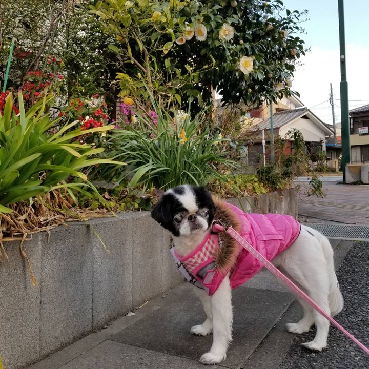 999b78c7 8b5d 4a6b 8c25 ea88bc9f7cf4 1615326697172