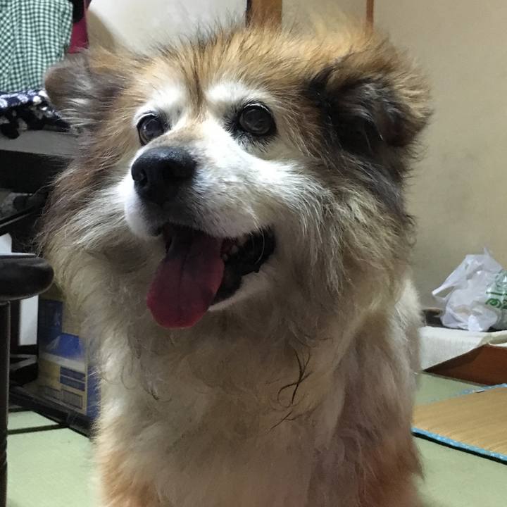 999b7bb8 c6d8 40d8 9fa8 42bb0ccb0c43 1570242119902