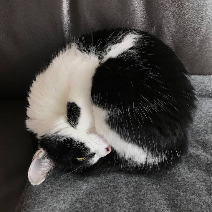 999b98e0 e991 4ebc b5cb aac73c49f7f2 1515297514594