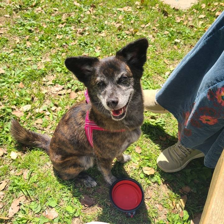 999ba06a a42d 46a7 8885 4ac39cd49e67 1651912957856