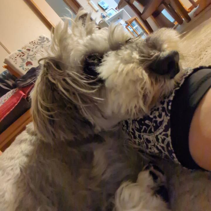 999be01b f26f 4064 acc1 38d1773114bd 1757939610056