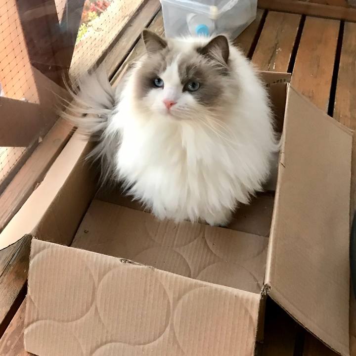 999c0370 55a4 46d5 b9a2 a780efc5db56 1579111626092