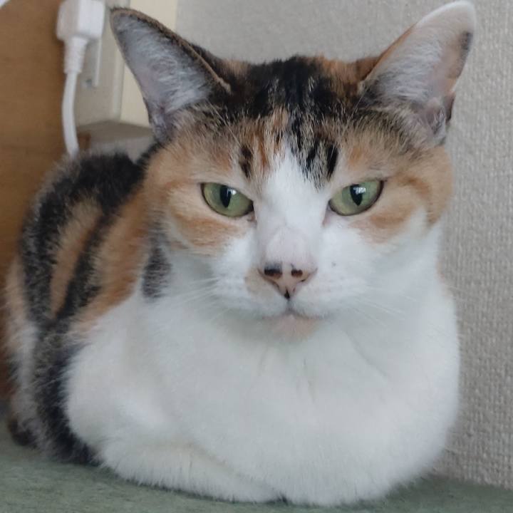 999c0d1e 4322 47a3 bb74 7b916deb20b1 1641178123594