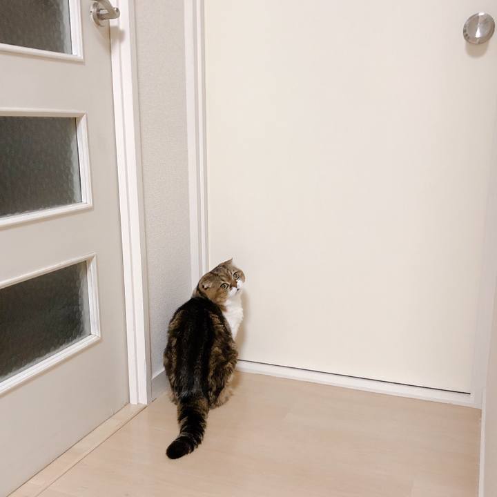 999c3fe6 c5c3 4534 a638 e8956c2a4ac1 1571232229476