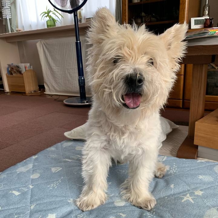 999c4df7 2978 4f42 a086 c62457e4557e 1729236863950