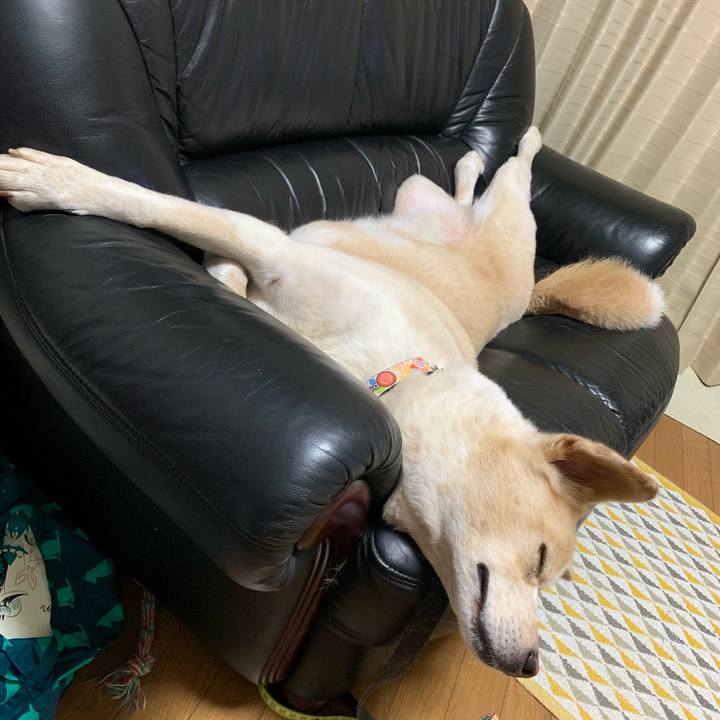 999c7592 6fe9 4a52 9341 08767acd4e17 1563380672415