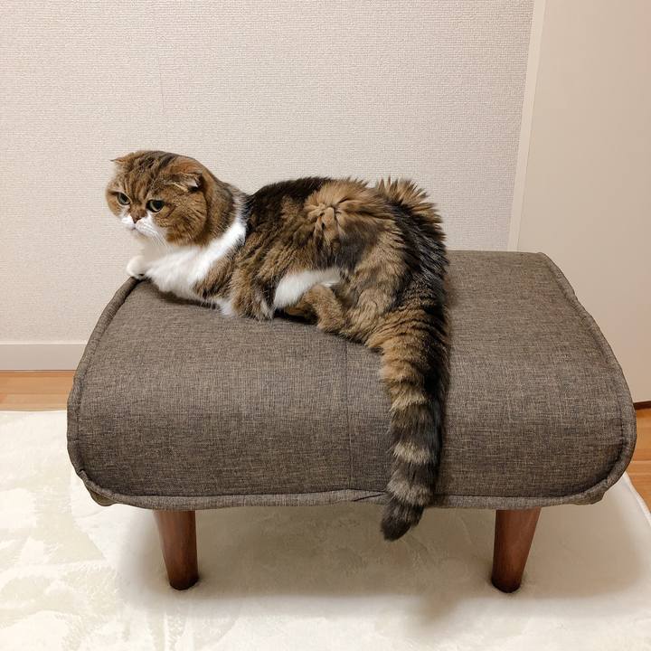 999cbbf2 dcd0 4274 abab 522f8ff60d28 1597315741939