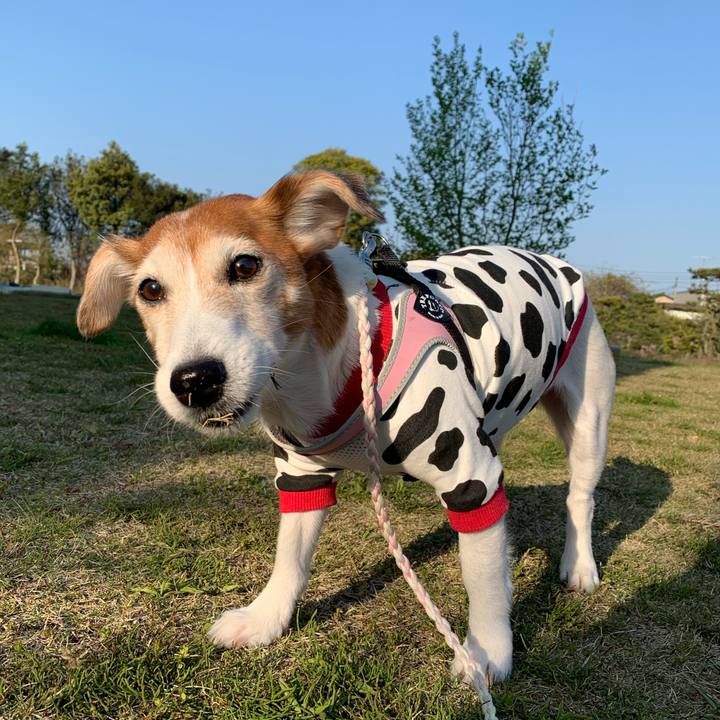 999cdcd1 e916 4040 90d7 aadb561b2ff0 1587915660152