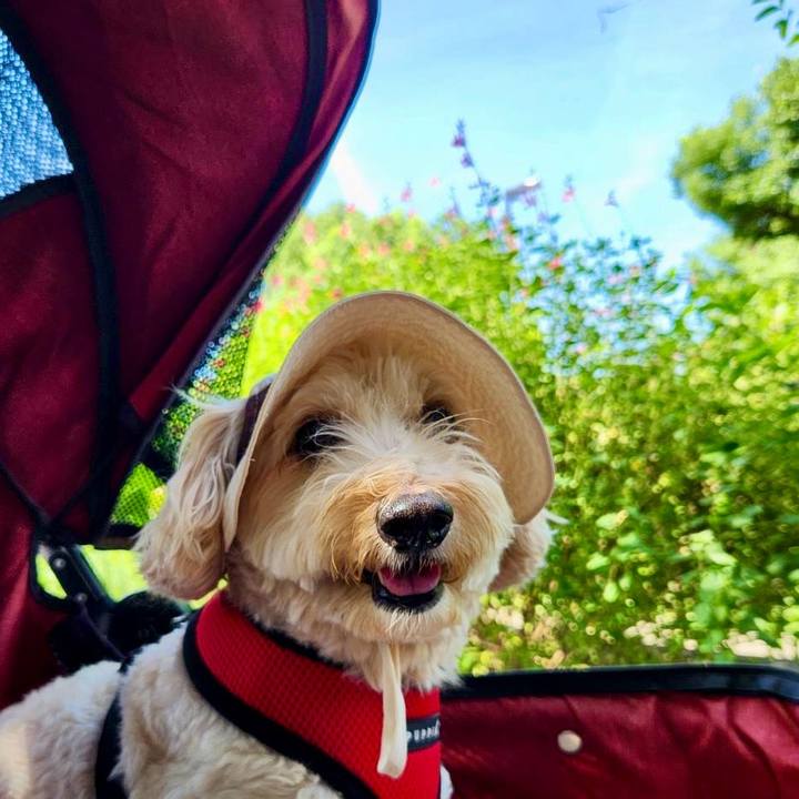 999ce529 c4bc 4c9c adc5 28b409a4372c 1758509580412