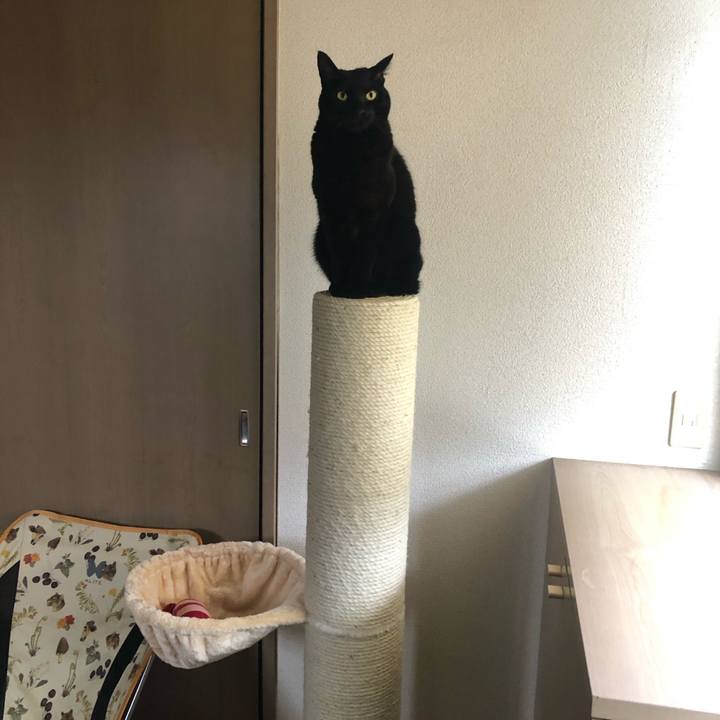 999ced17 bee7 4d8e a7c0 b1f5df9798d8 1610451655898