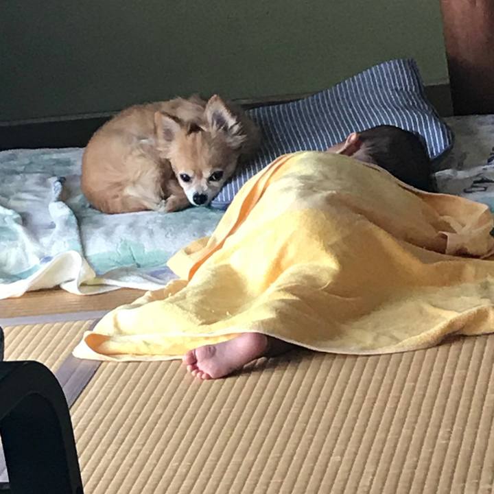 999d081d 4ed6 48de 99f1 7d112a9bbcc5 1534903570771