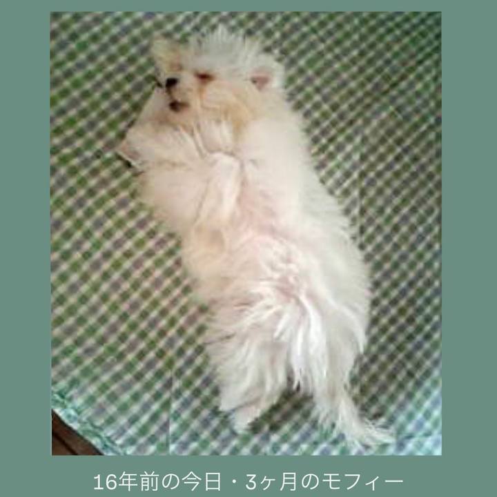 999d0df2 55f6 4a51 aa1f 21ad39a78e49 1759099358485