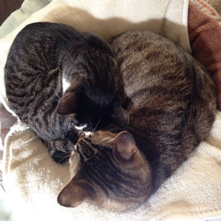 999d5257 436b 4b8a 9f11 e7429624b626 1509164649954