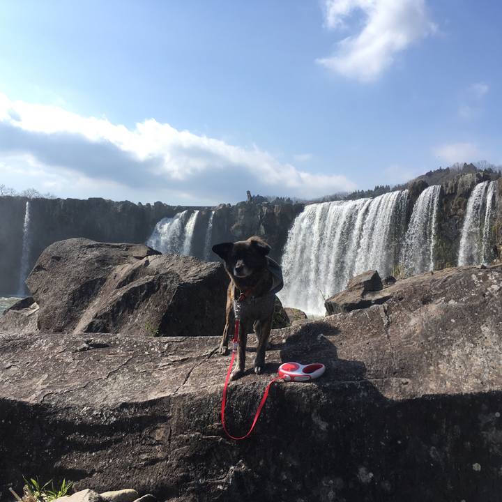 999d5777 b849 4281 861d 40a386907015 1551106949481