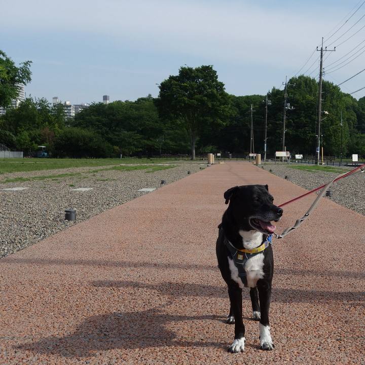 999d6dac 2039 4a16 b325 ab5ef17eb04e 1746320968943