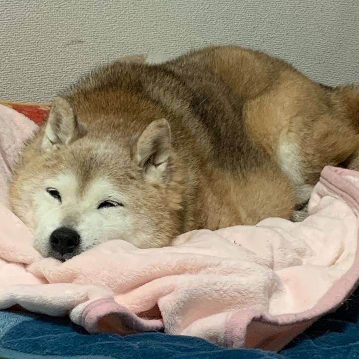 999d859c 1b0b 4cb0 a0b0 254f27b699b9 1676555403560