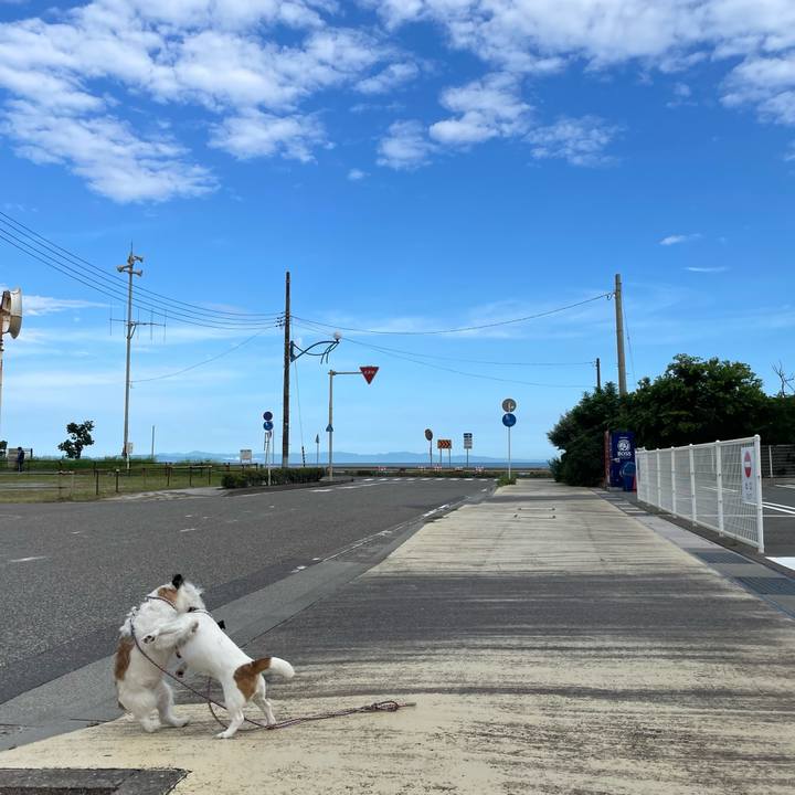 999d9b79 88dd 469d b80f 1913438ab37f 1657926423644