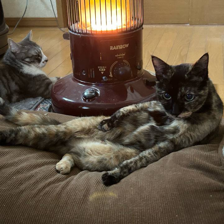 999dda90 8e5d 49e2 ac12 ba88f2222ed0 1772815668234