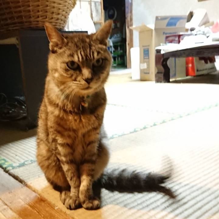 999ddabb 8284 454f b9c4 bf5462f33c22 1568970347707