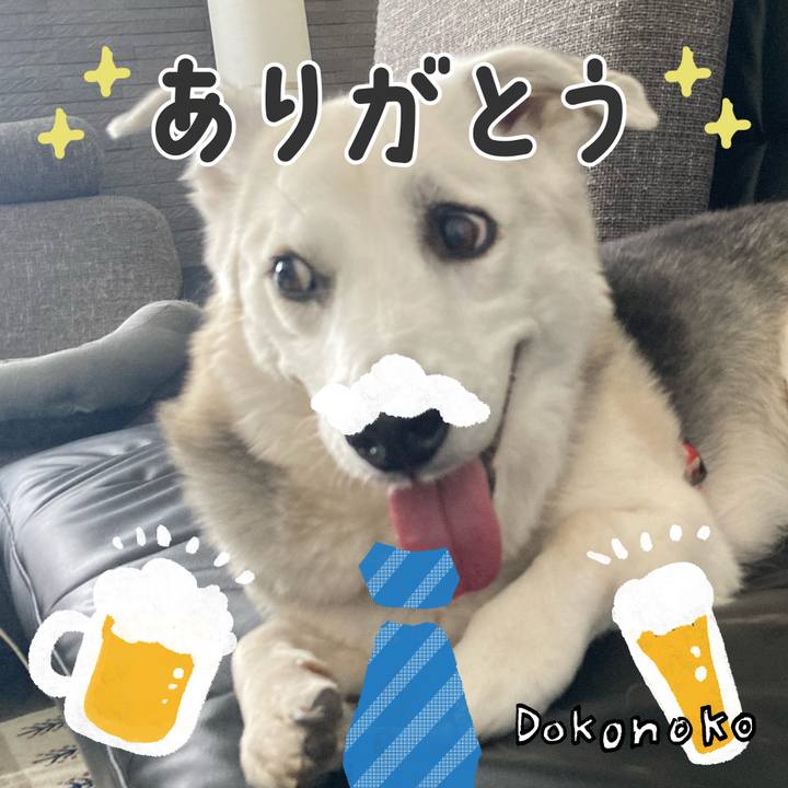 999e3e6f f62e 44e9 bd18 a5fce1869eef 1717769150439