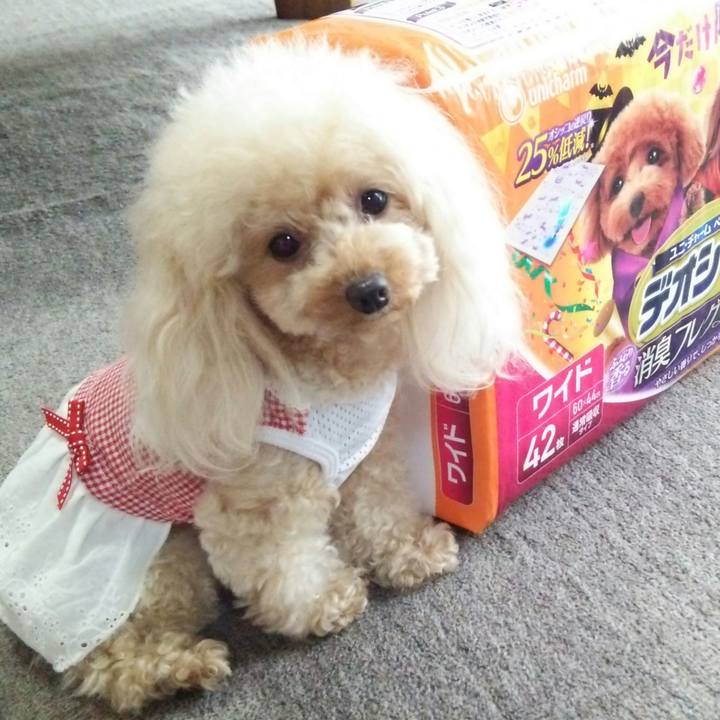 999e5067 e8f6 40a0 bd6e f96d58280dcd 1537262045795