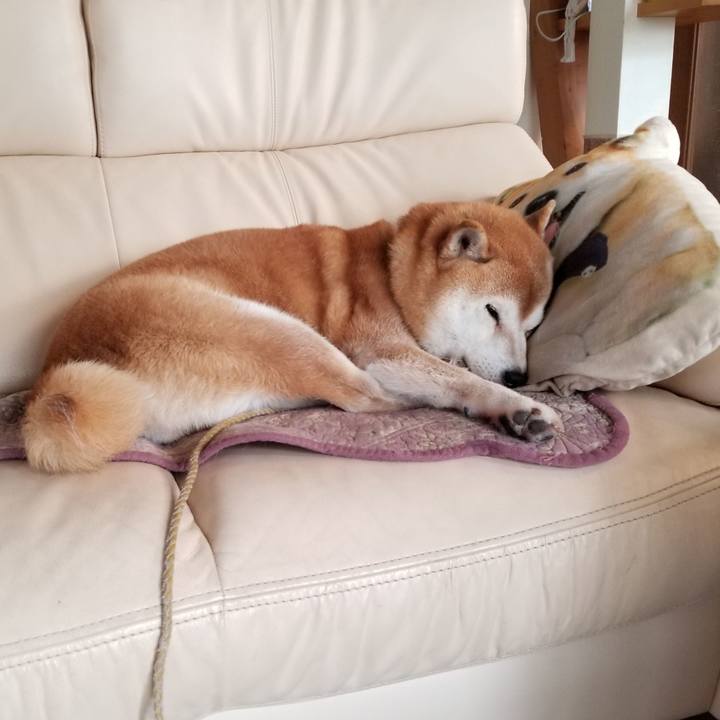 999e7057 f78d 46a5 bb80 46360b12c5d4 1635897988978